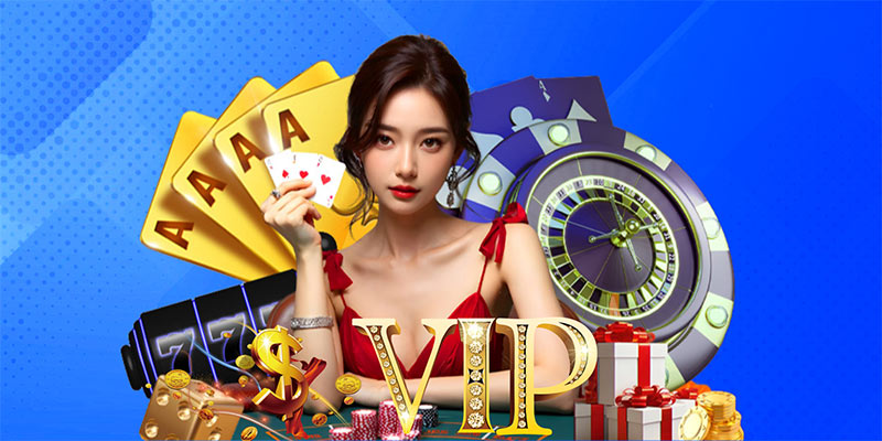 Chương trình VIP – Đặc quyền riêng cho hội viên đẳng cấp